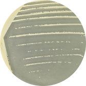 Bacillus iodiformis-BNCC