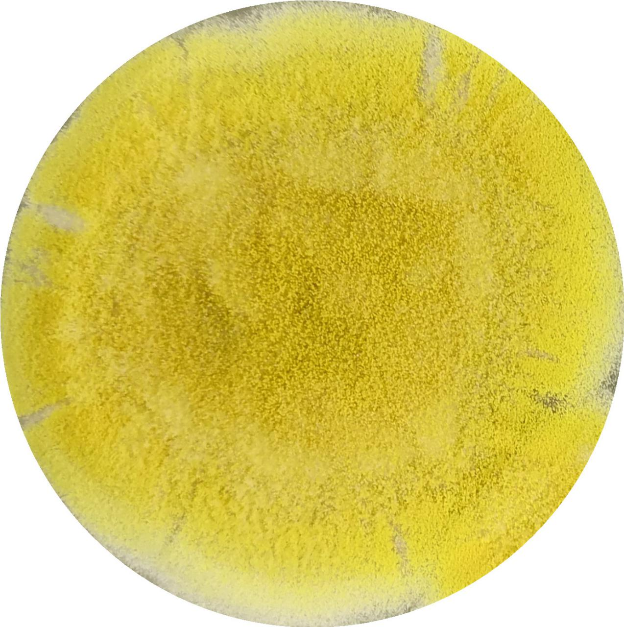 Aspergillus flavus-BNCC
