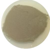 Herbaceous mycorrhizal fungi-BNCC