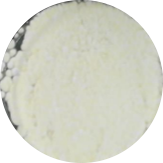 Microcystis-BNCC