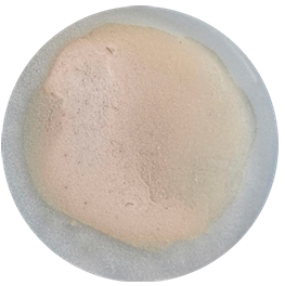 Aspergillus fumigatus-BNCC