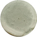 Penicillium reinhardtii-BNCC