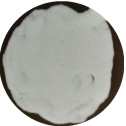 Penicillium reinhardtii-BNCC