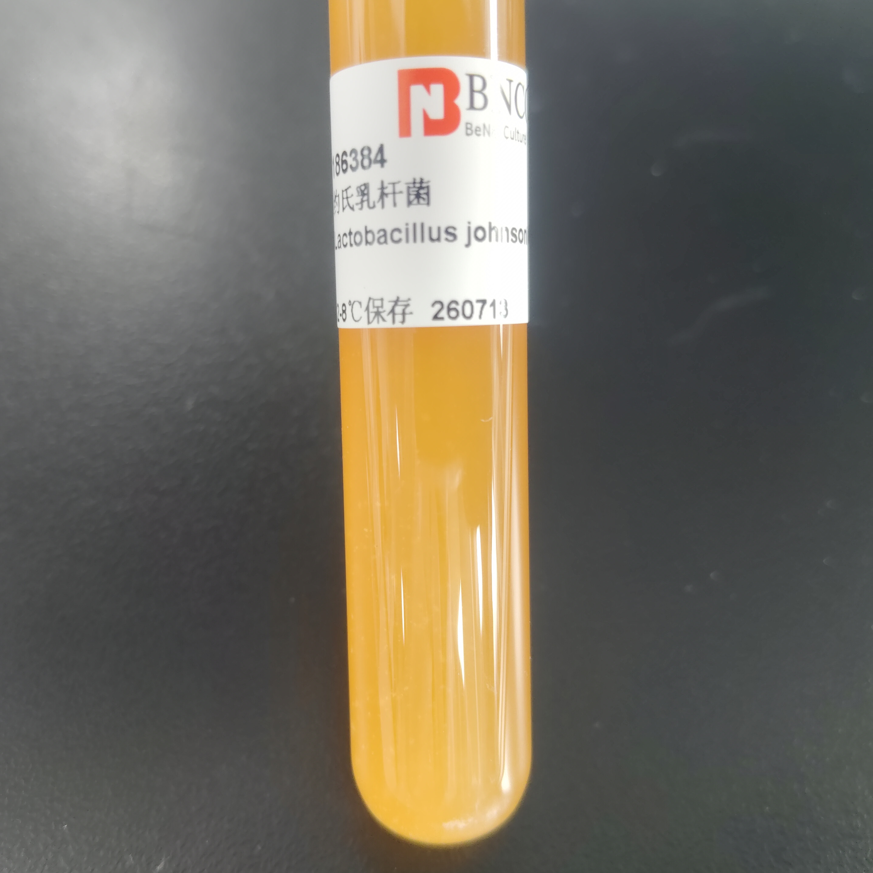 Lactobacillus acidophilus-BNCC