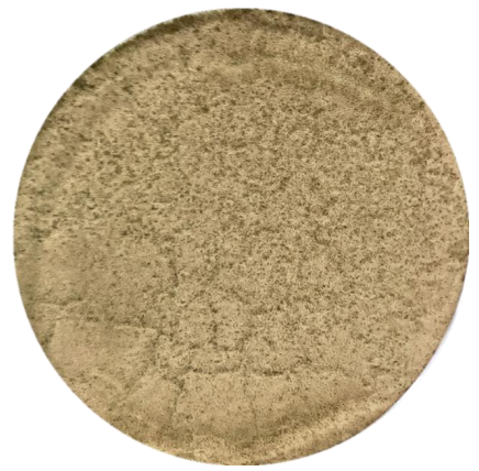 Aspergillus niger-BNCC