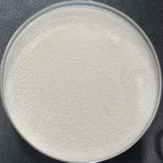 Long stem Trichoderma-BNCC