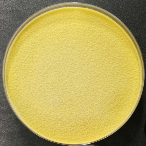 Long stem Trichoderma-BNCC