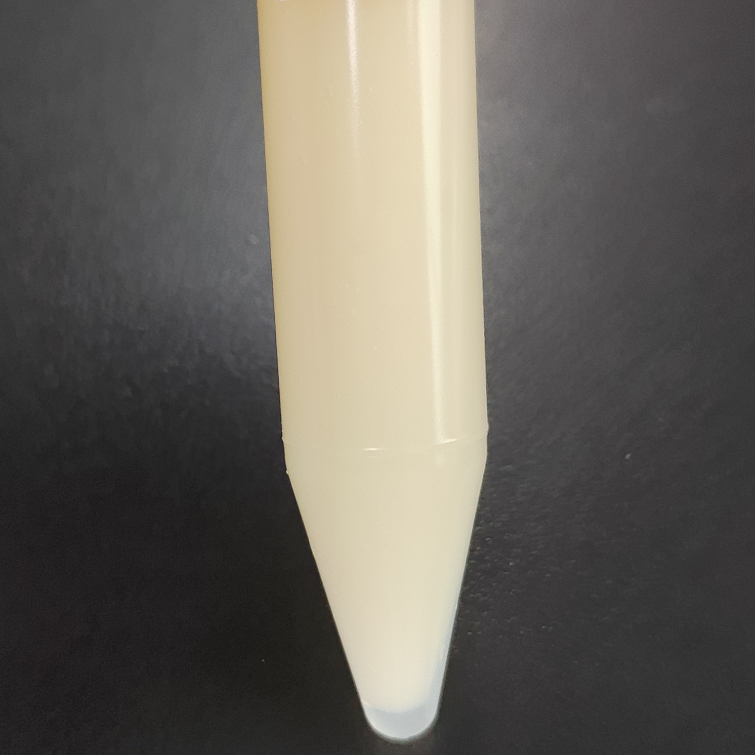 Candida lipolytica-BNCC