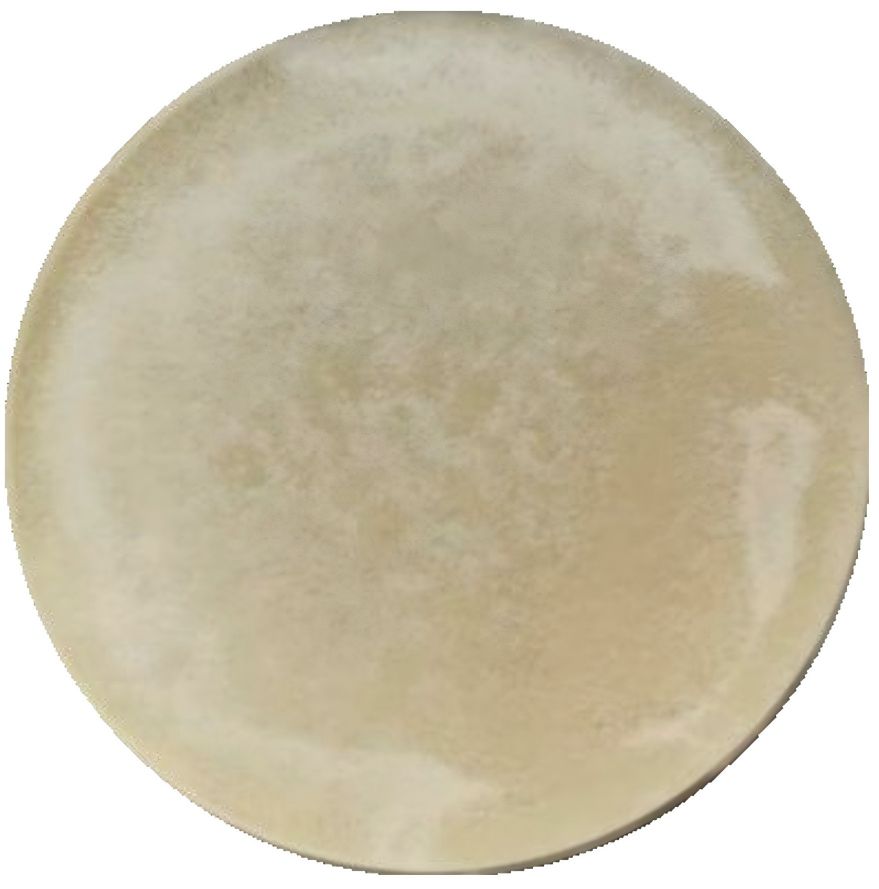 Trichoderma reesei-BNCC