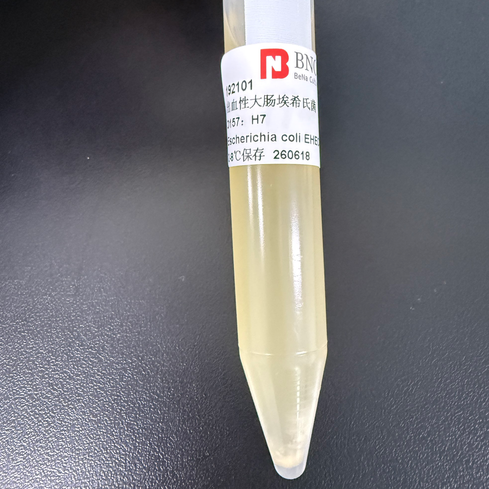 Hemorrhagic Escherichia coli O157: H7-BNCC