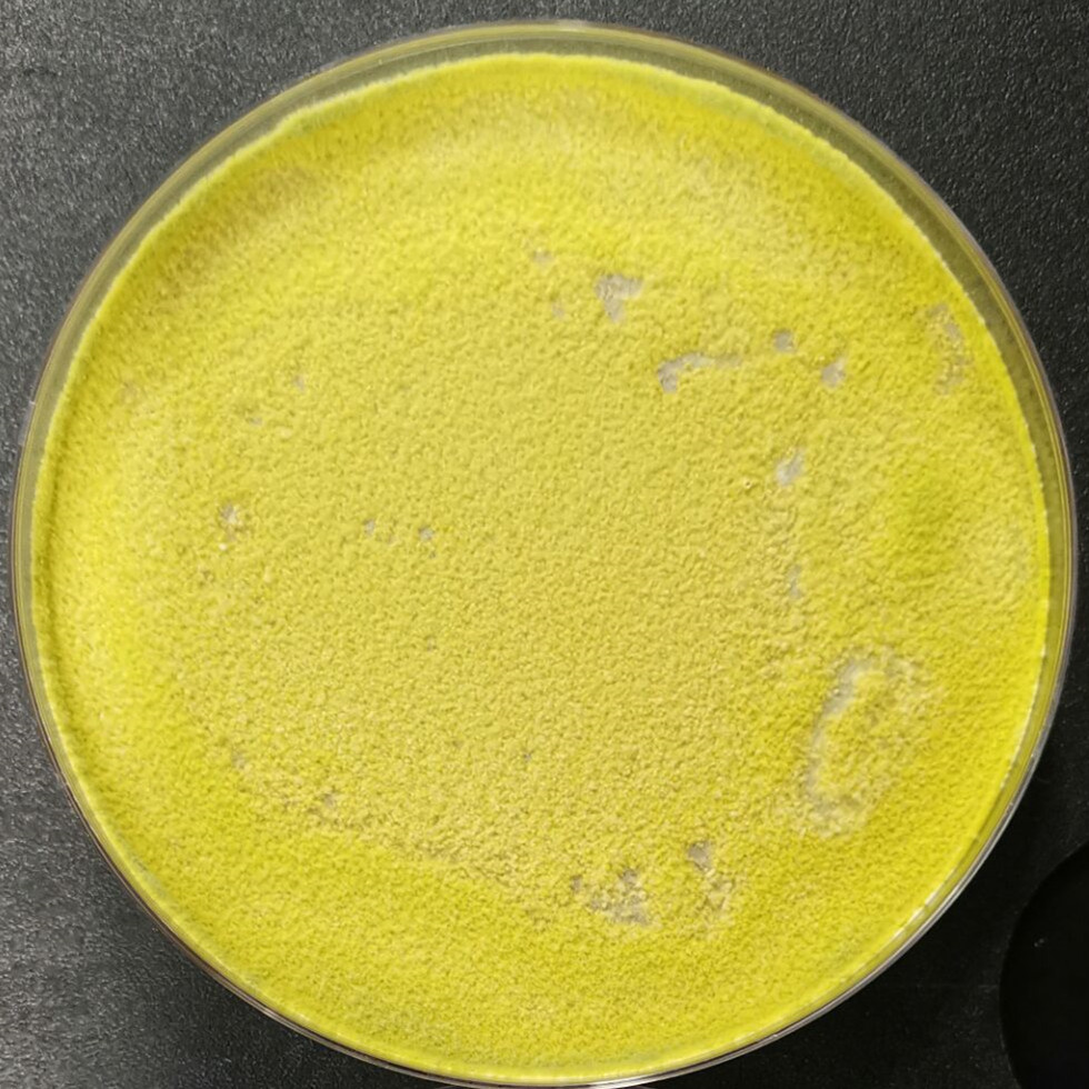 African Trichoderma harzianum-BNCC