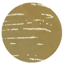 Lactococcus lactis-BNCC