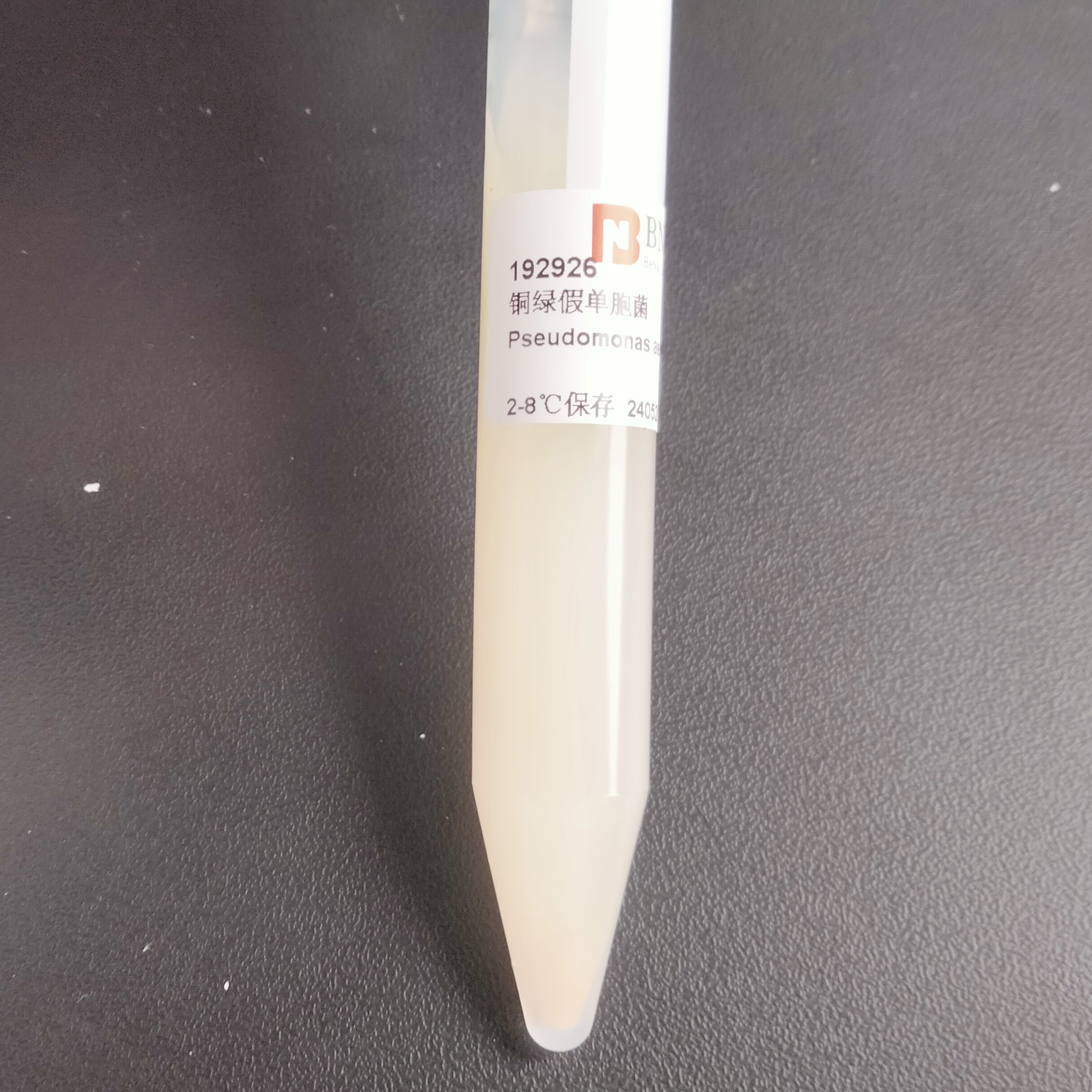 Pseudomonas aeruginosa-BNCC