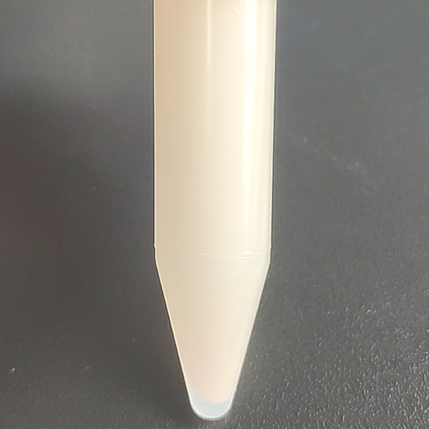 Candida albicans-BNCC