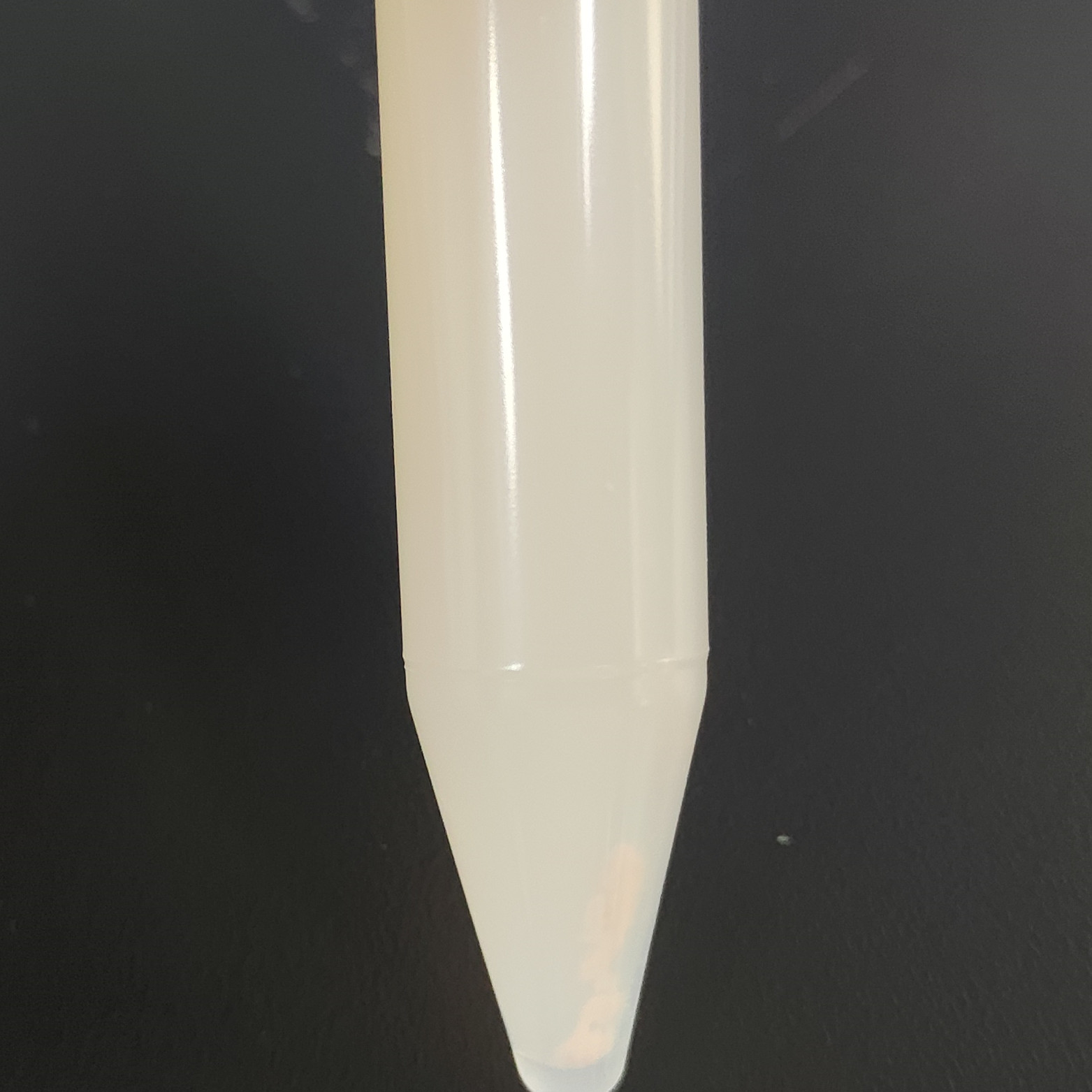 Pseudomonas aeruginosa-BNCC