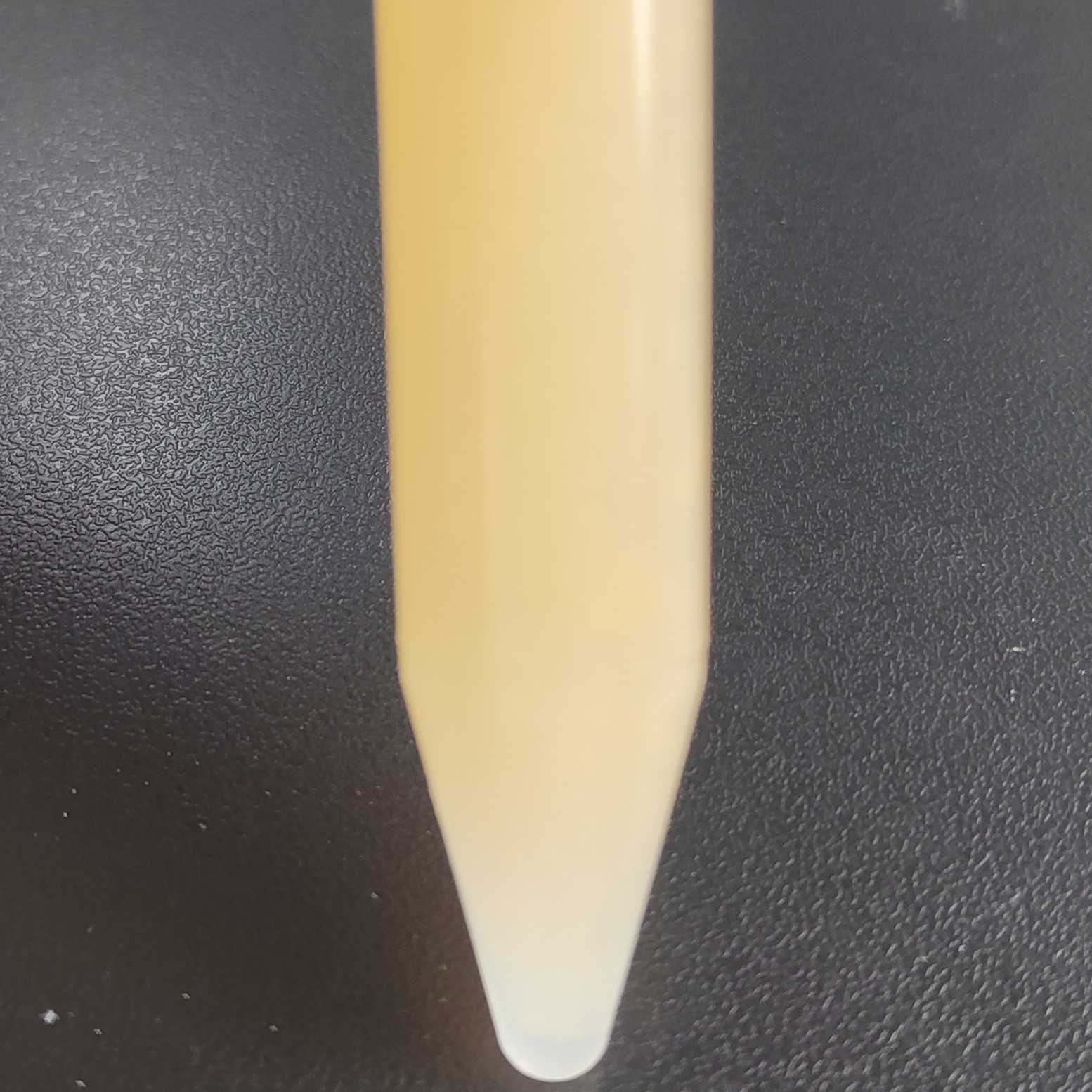 Pseudomonas aeruginosa 75iv2-BNCC