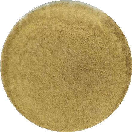 Aspergillus niger-BNCC