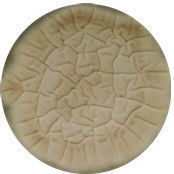 Aspergillus flavus-BNCC