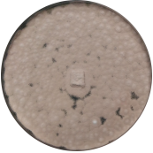 Pale purple Penicillium-BNCC