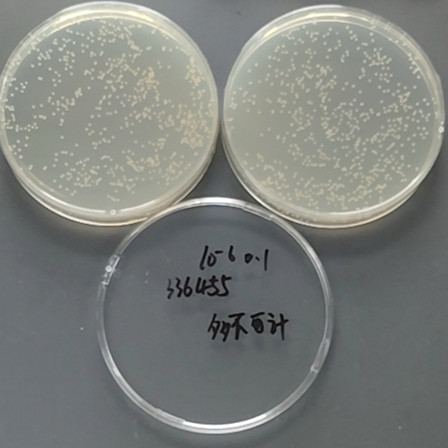 Staphylococcus aureus subsp. aureus-BNCC