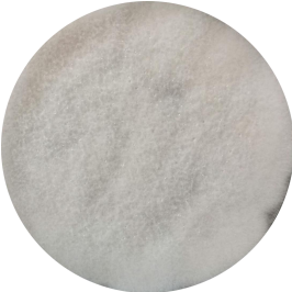 Cryptosporidium-BNCC
