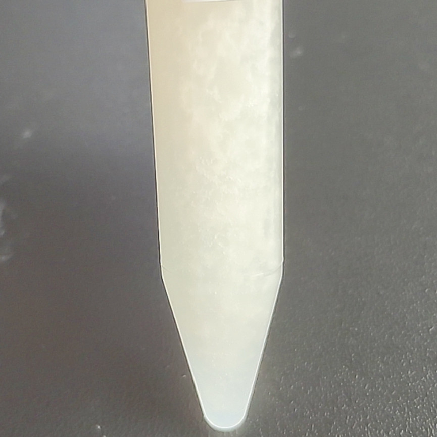 Acid producing Klebsiella pneumoniae-BNCC