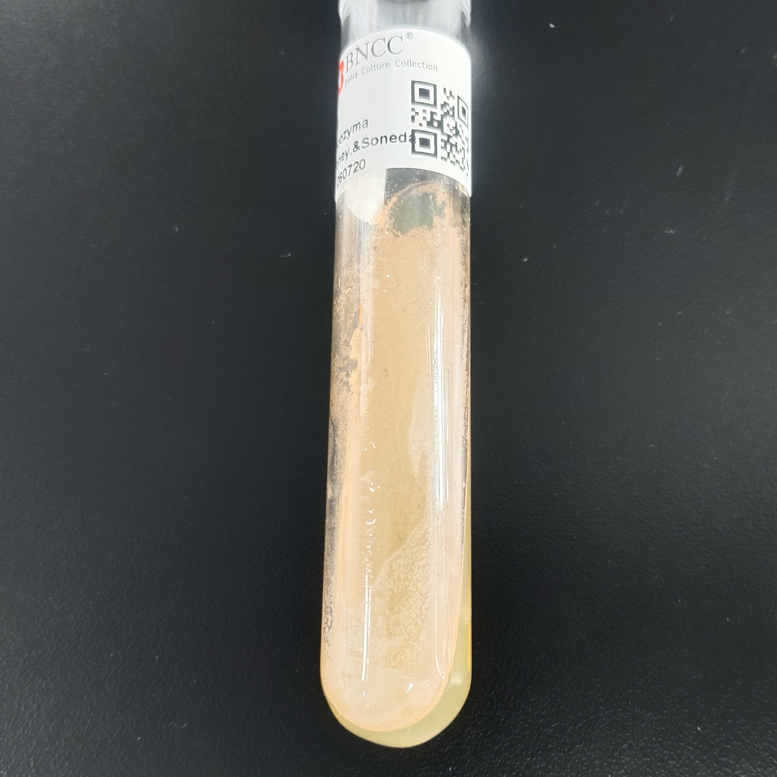 Red yeast-BNCC