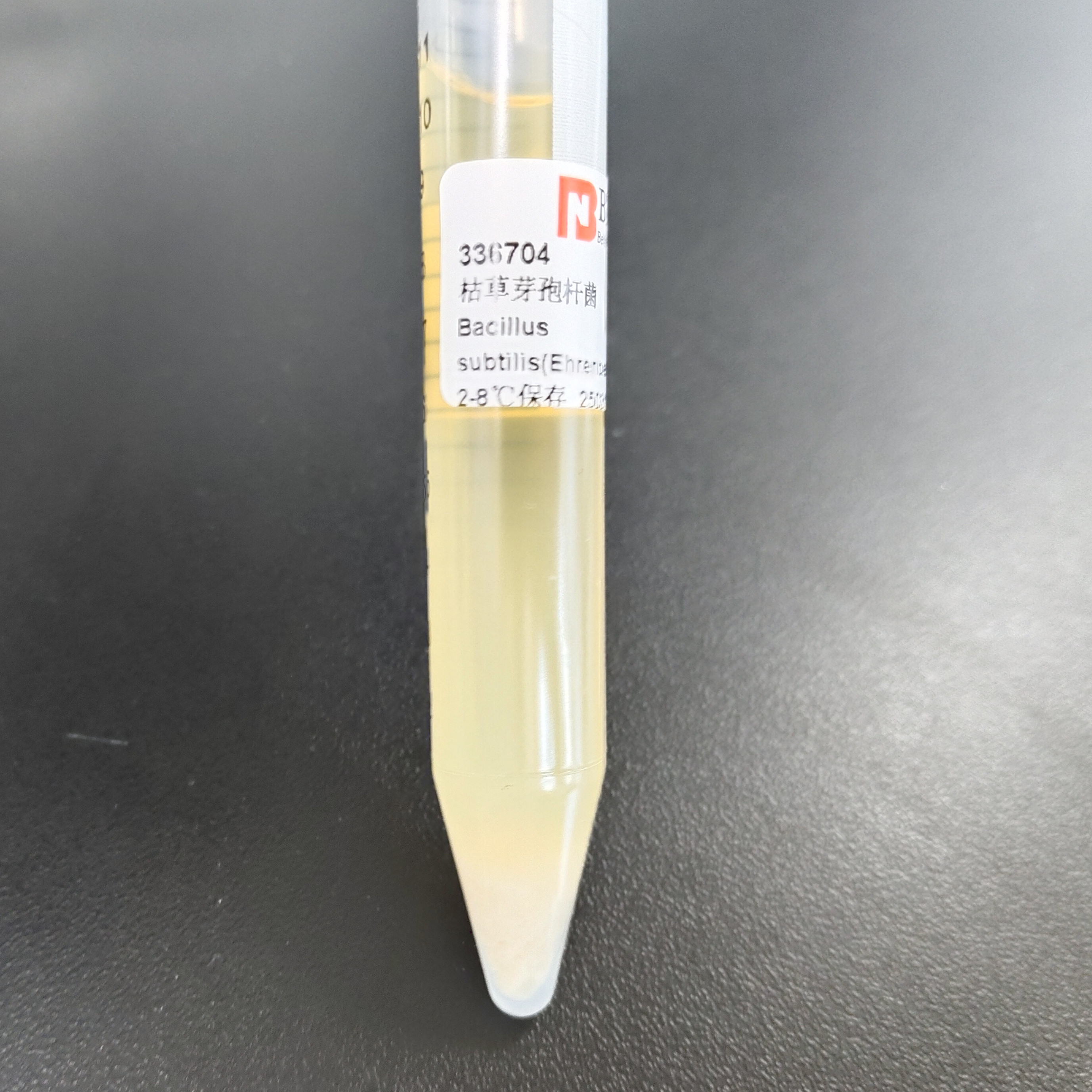 Bacillus subtilis-BNCC