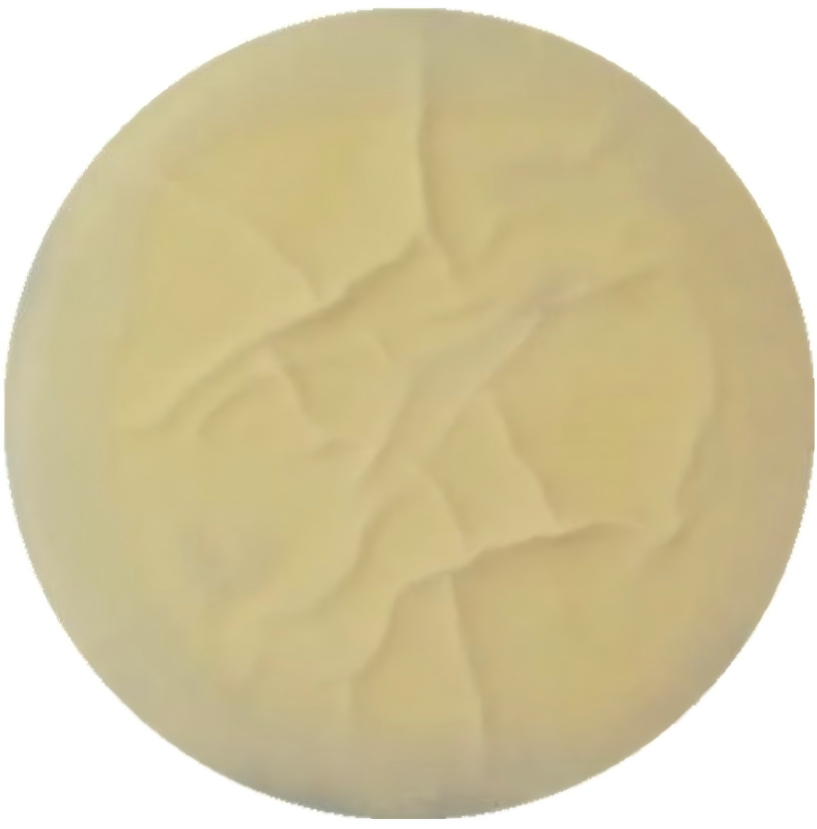 Aspergillus flavus-BNCC
