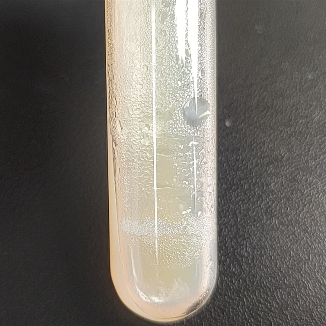 Acidic soil cyclic acid Bacillus-BNCC