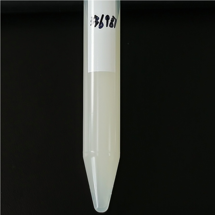 North Korean Bacillus subtilis-BNCC