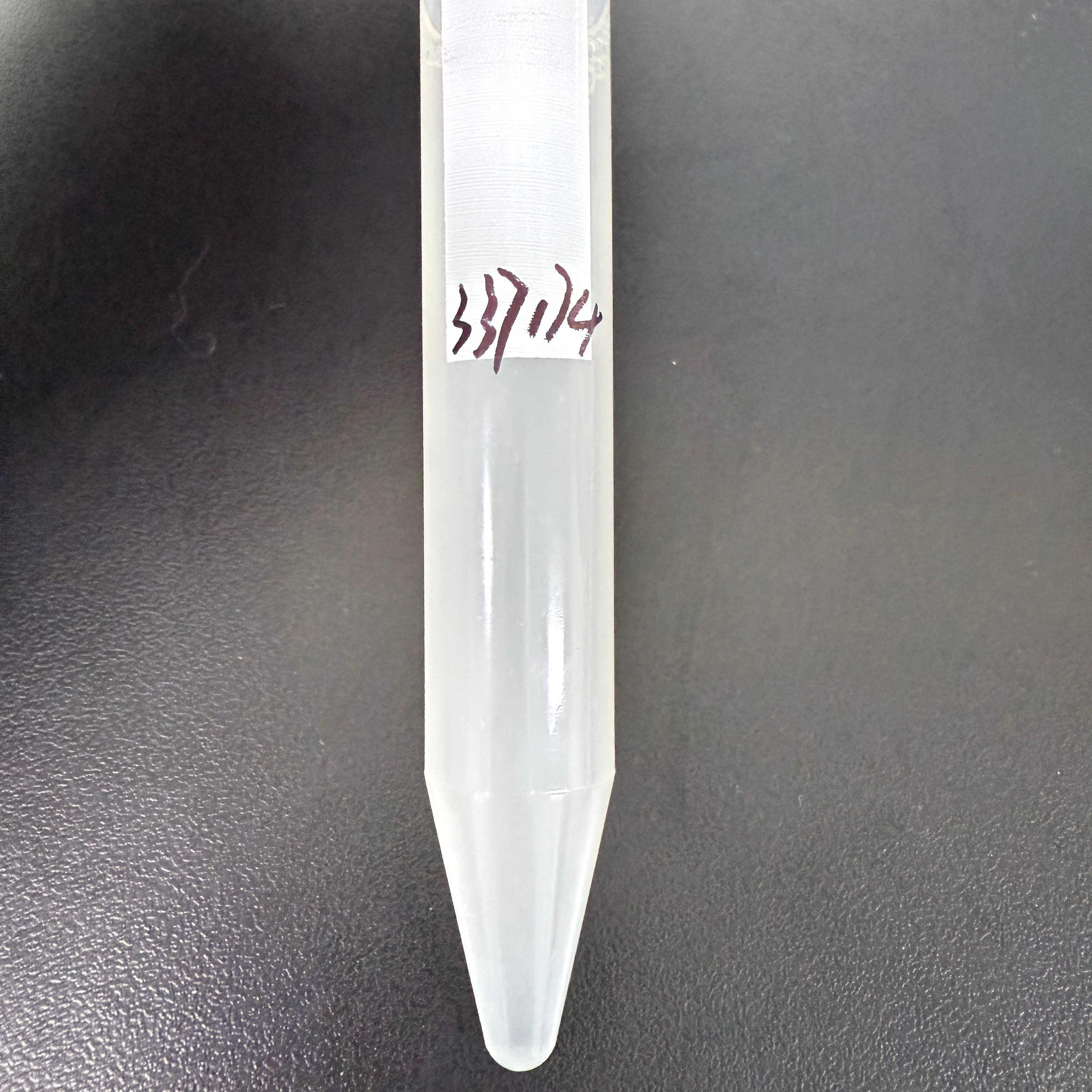 Enterococcus faecalis (Enterococcus faecalis)-BNCC