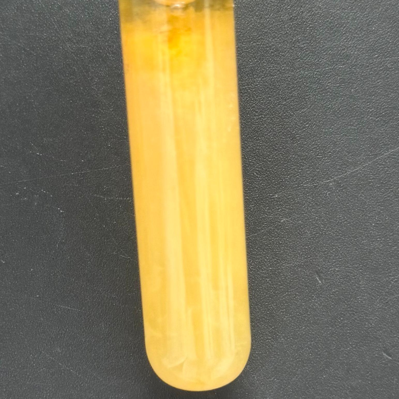 Clostridium butyricum-BNCC