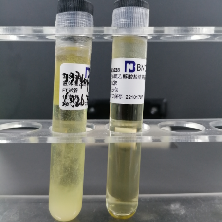 Fusobacterium nucleatum subspecies-BNCC