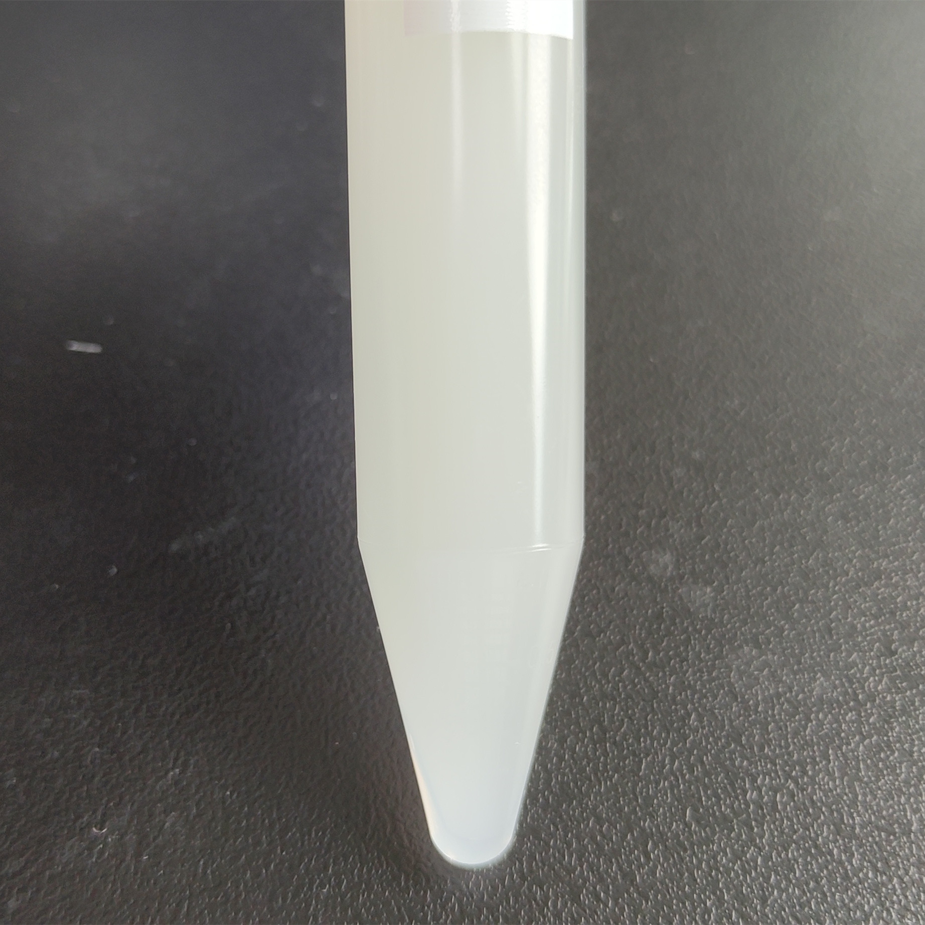 Staphylococcus aureus-BNCC