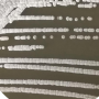 Streptomyces avidans-BNCC