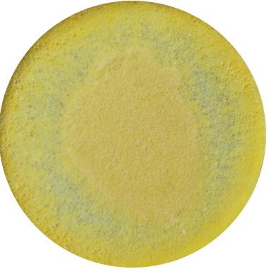 Long branch Trichoderma-BNCC
