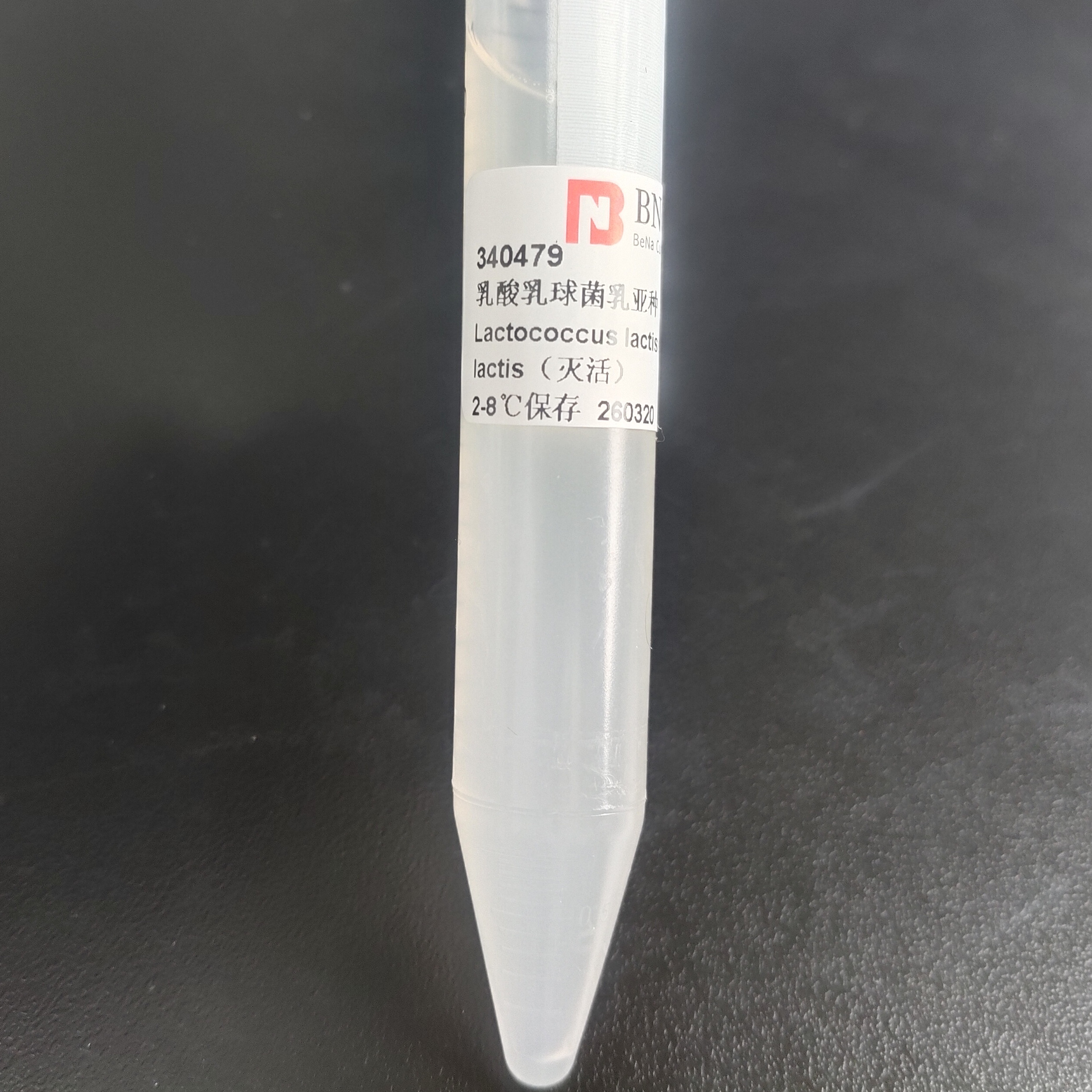 Lactococcus lactis subsp. lactis-BNCC
