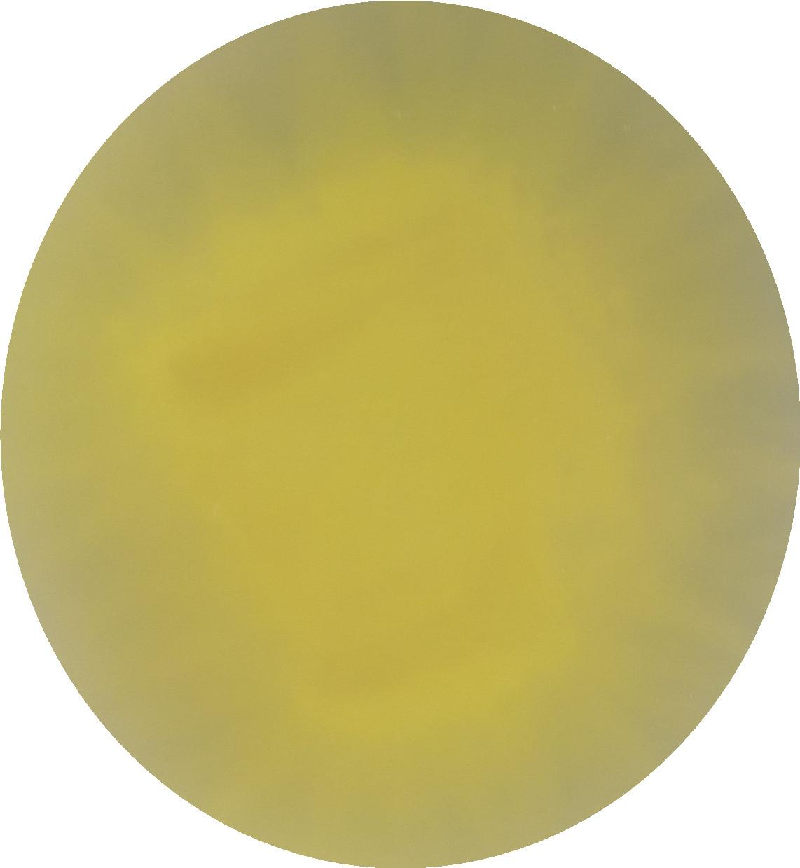 Trichoderma longibrachiatum-BNCC