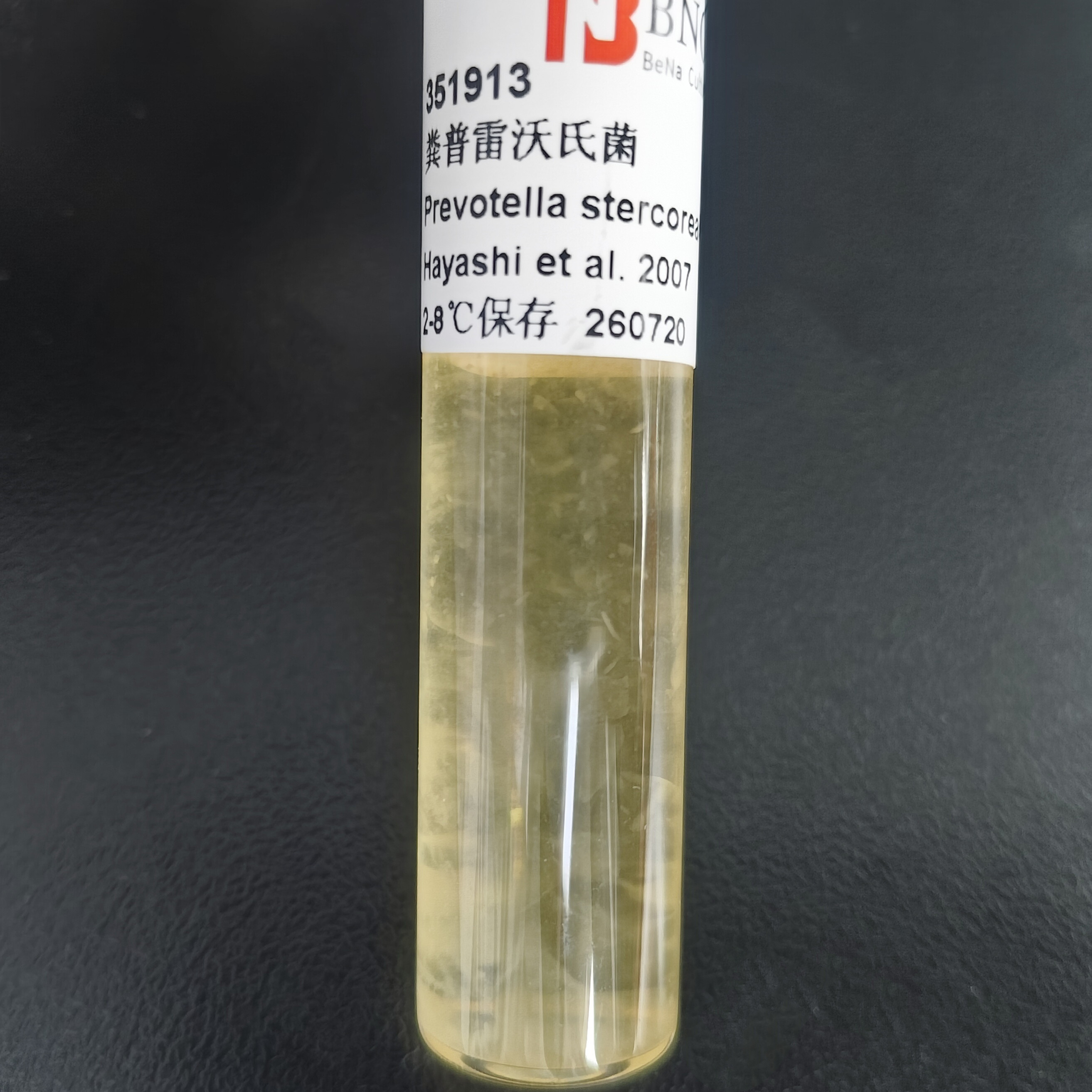 Fecal Prevotella-BNCC