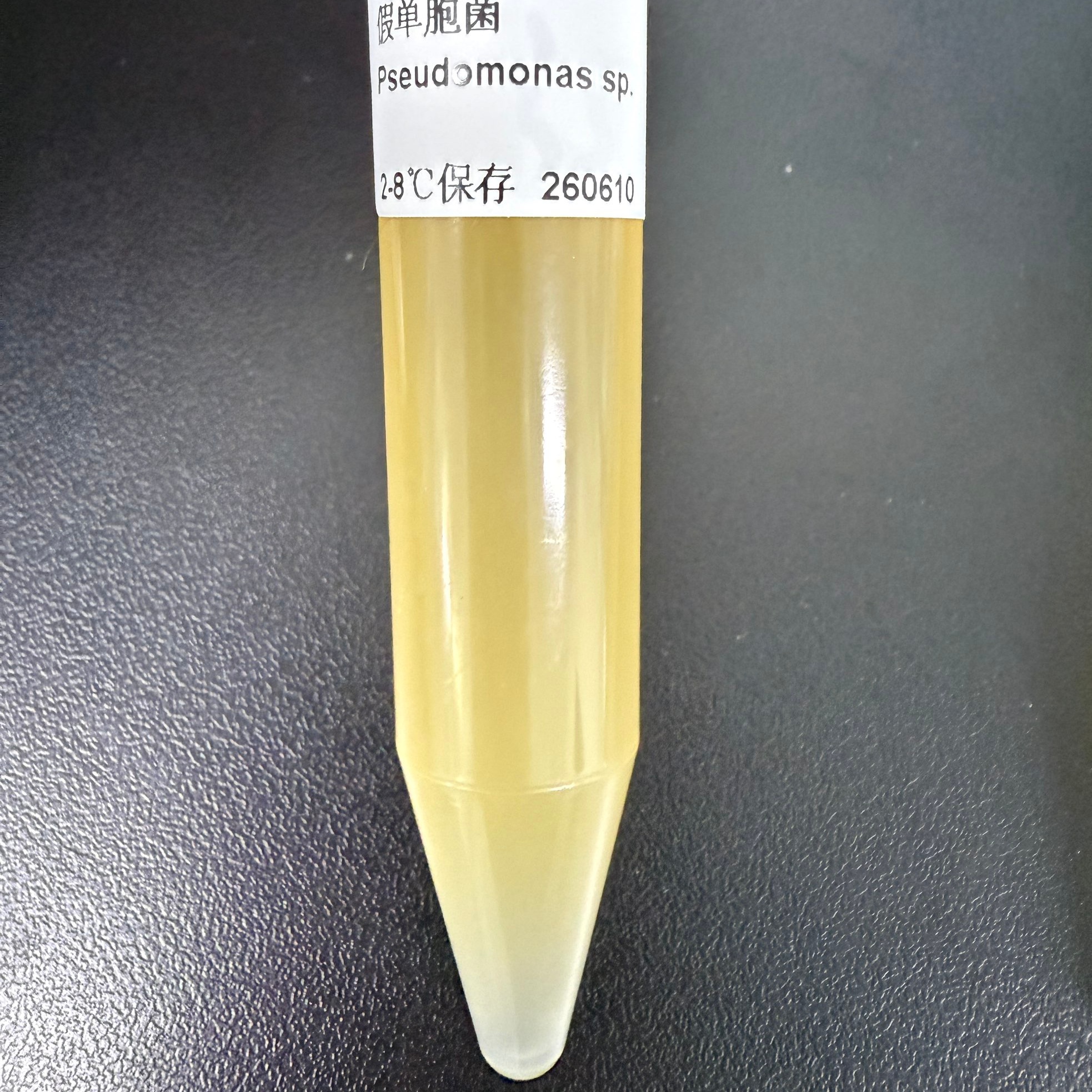 Pseudomonas-BNCC