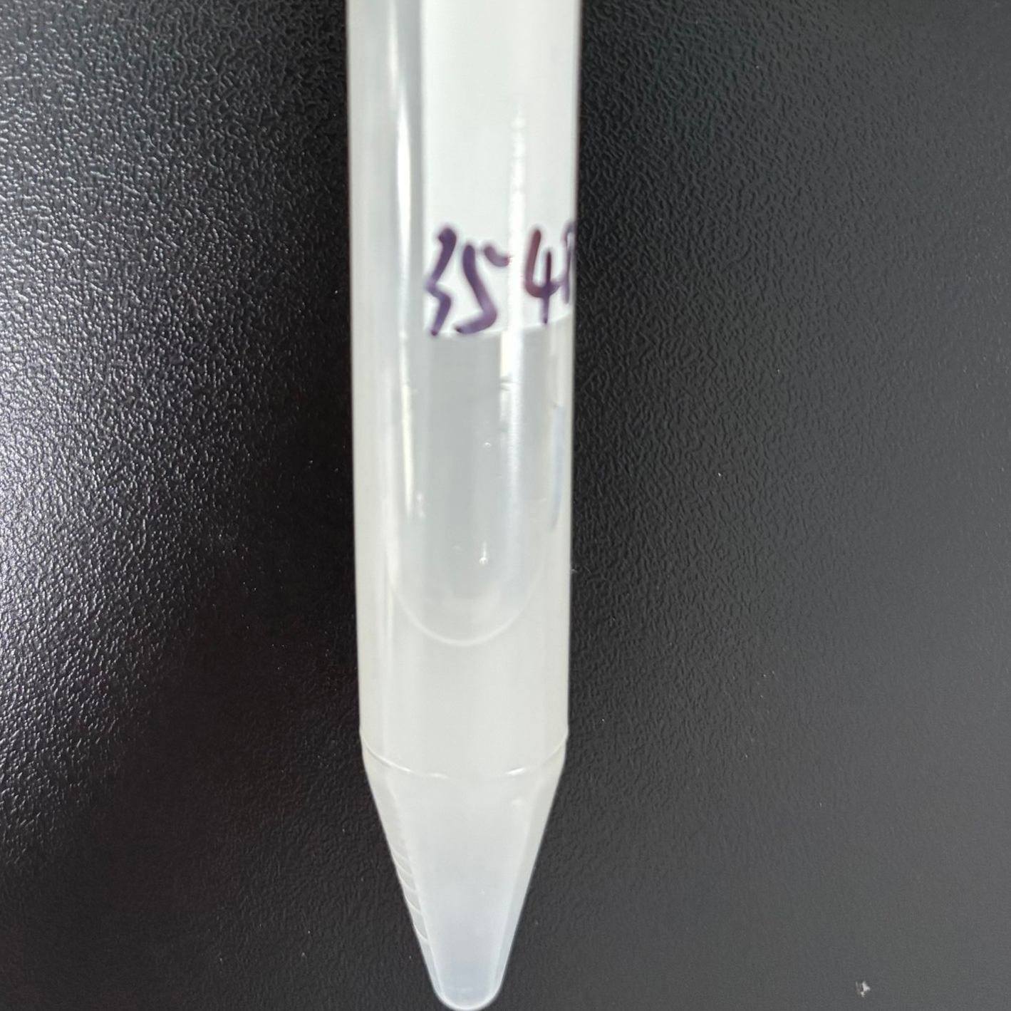 Bacillus subtilis WB600-BNCC