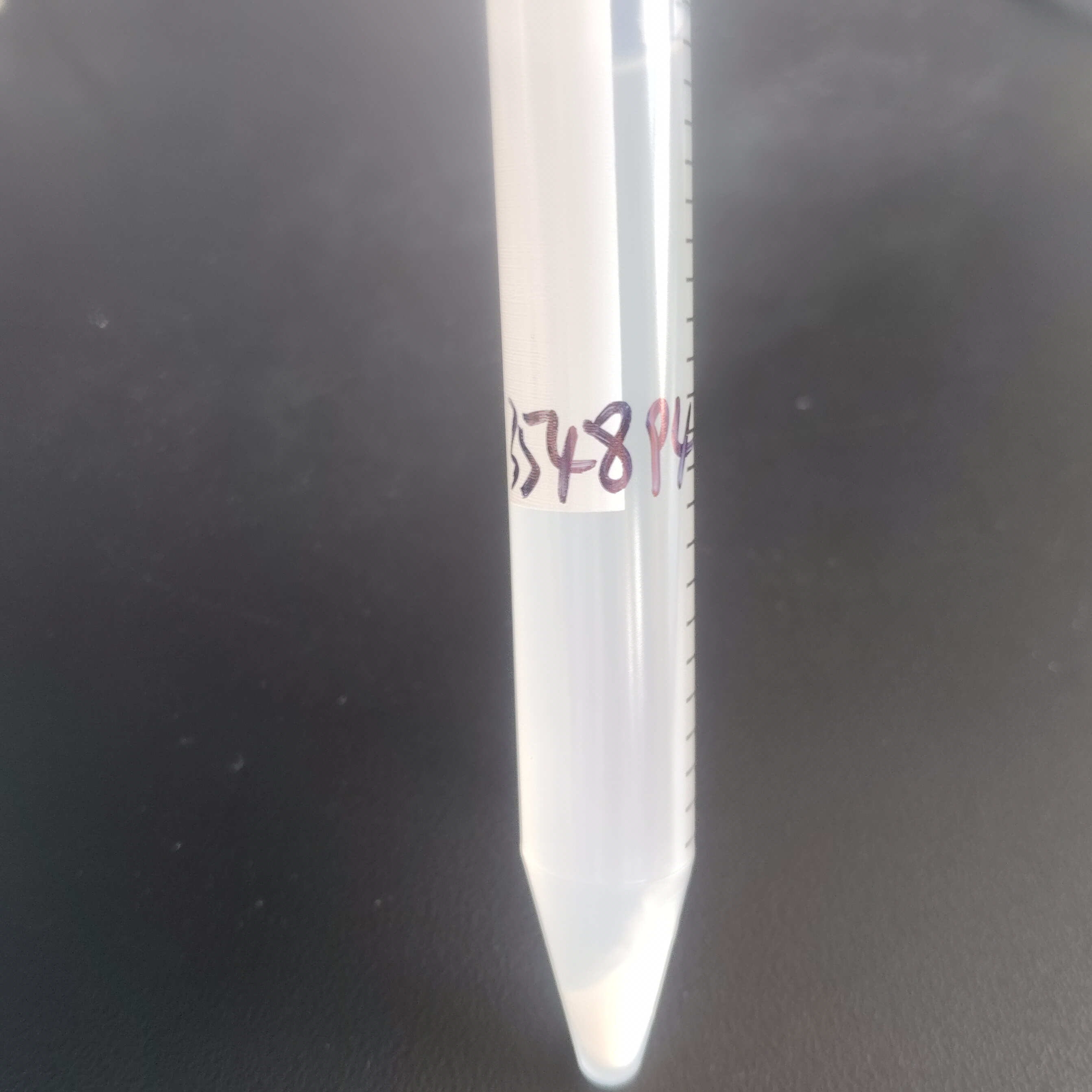 New type of small silk yeast-BNCC