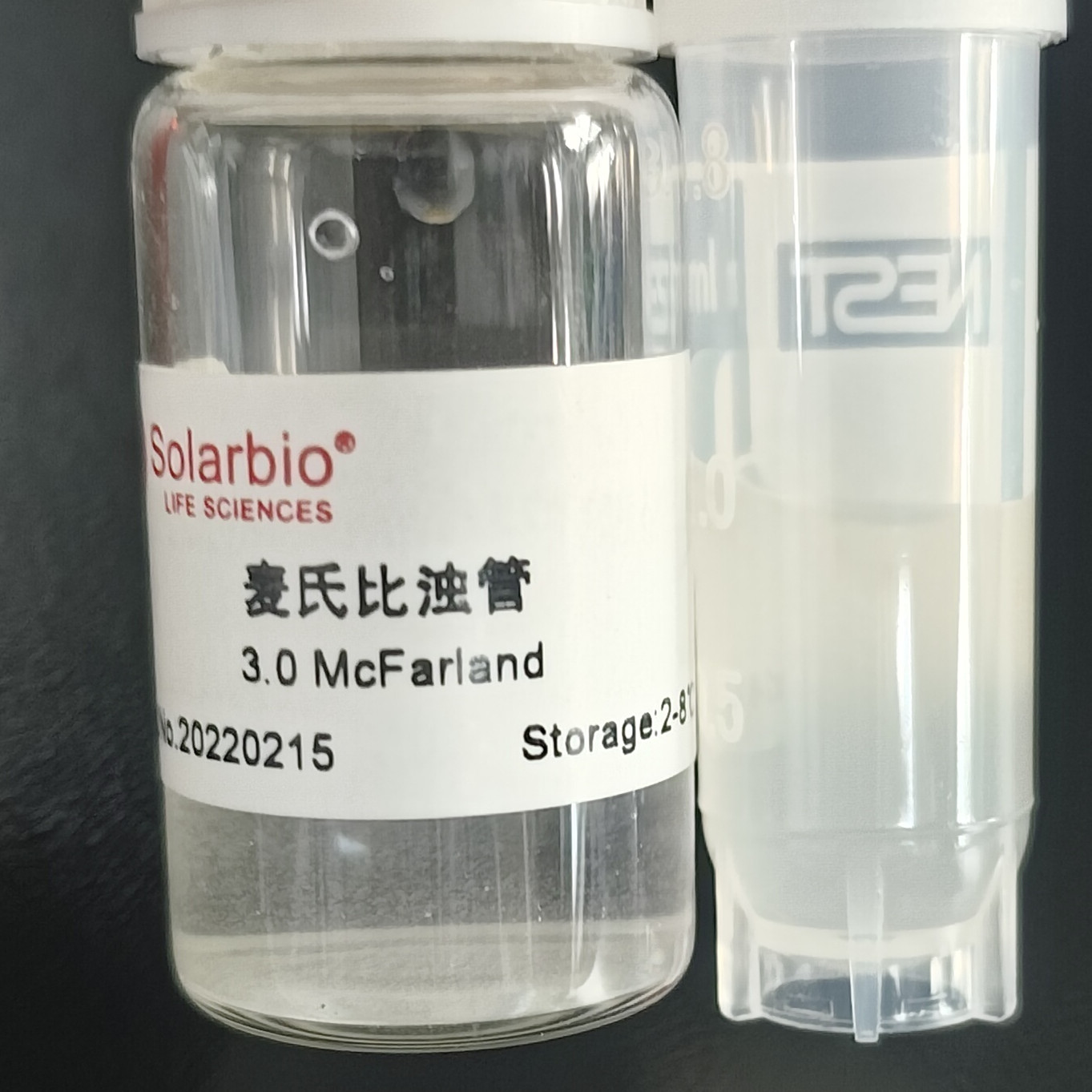 Mouse cecal pseudomonas-BNCC