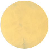 Anomalous Rhizopus-BNCC