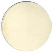 Fusarium oxysporum-BNCC