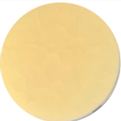 Fusarium oxysporum-BNCC