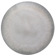 Brown plowhead mold-BNCC