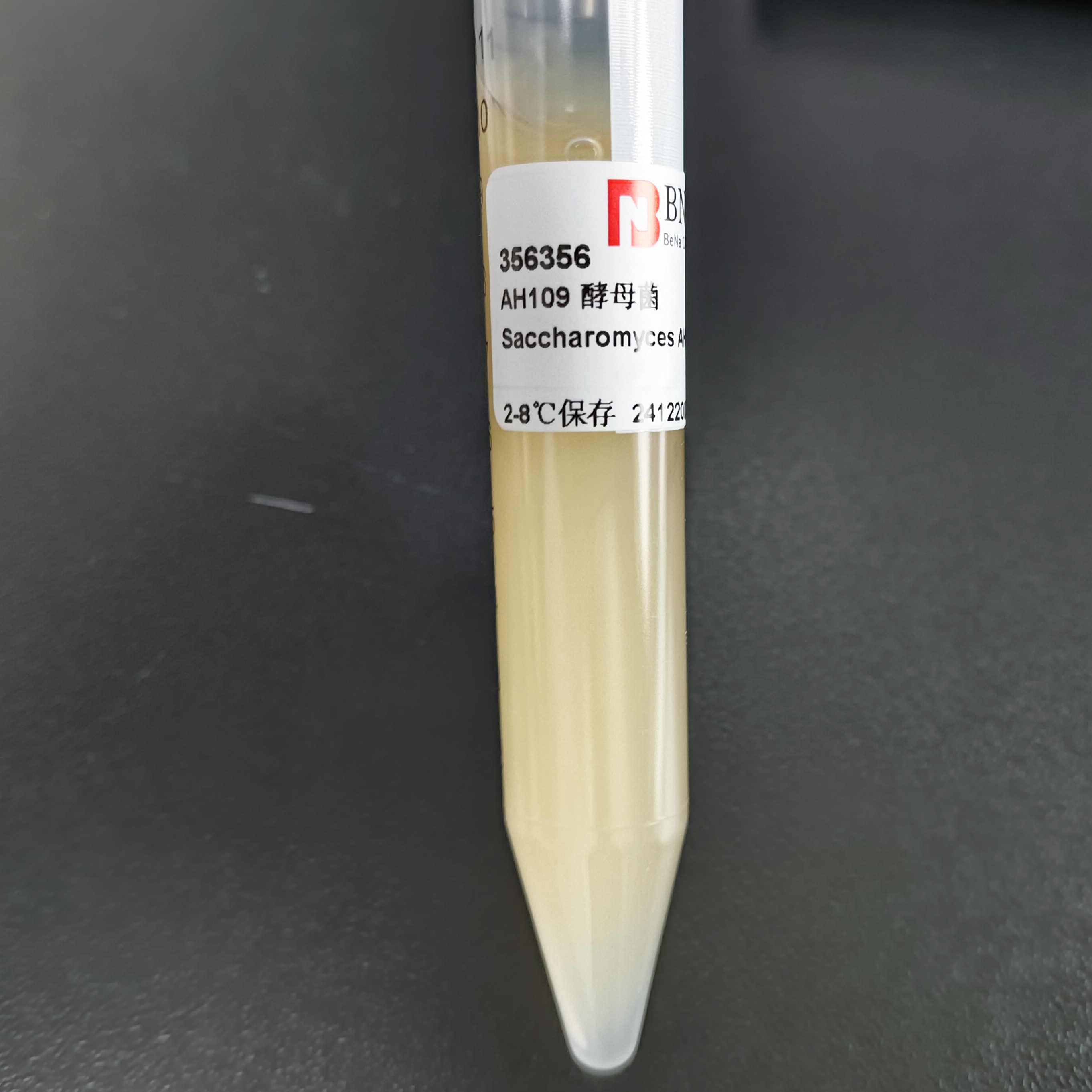 AH109 yeast-BNCC
