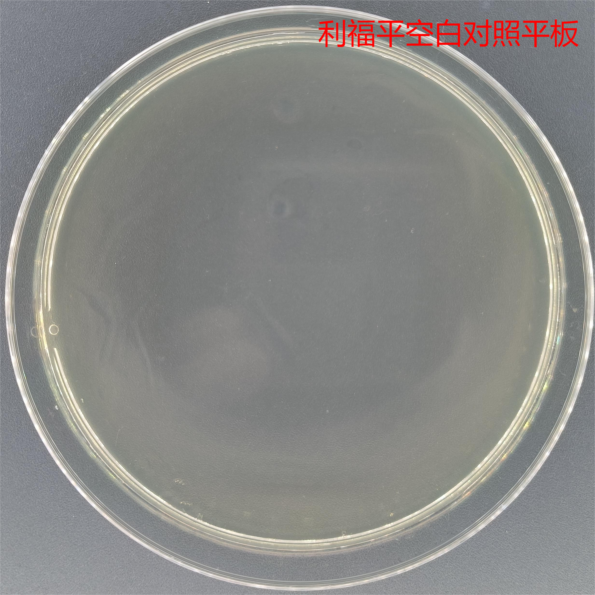 Agrobacterium EHA105-BNCC